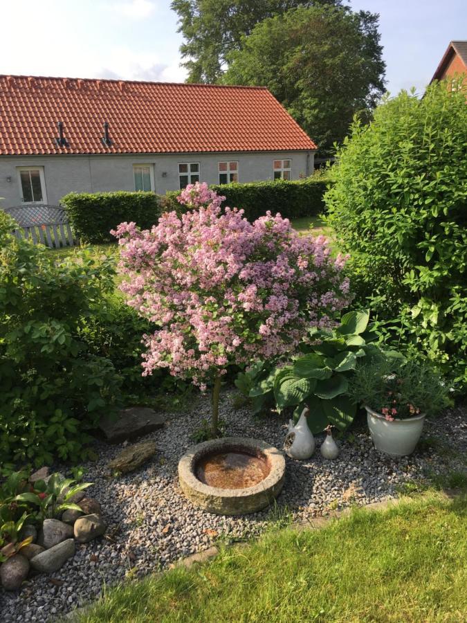 شقة Anneks Til Bondehus راندرس المظهر الخارجي الصورة